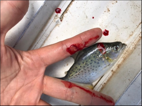 hideup 乃村弘栄 ブログ写真 2019/02/06