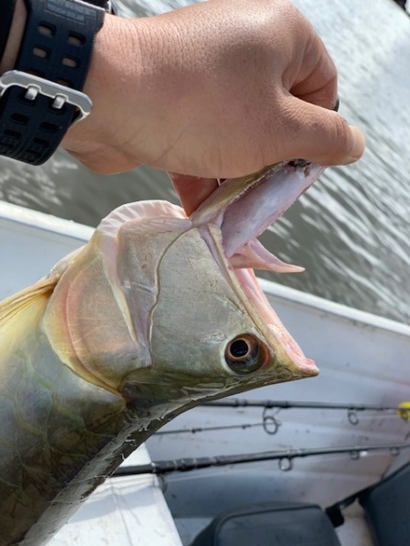 hideup 乃村弘栄 ブログ写真 2019/02/07