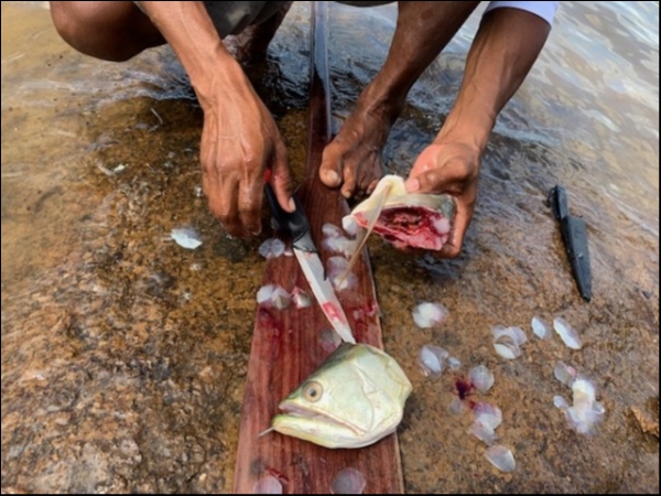 hideup 乃村弘栄 ブログ写真 2019/02/07