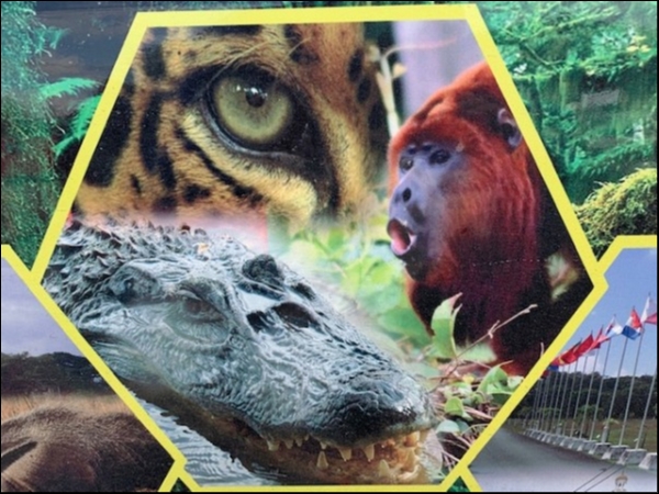 hideup 乃村弘栄 ブログ写真 2019/02/07