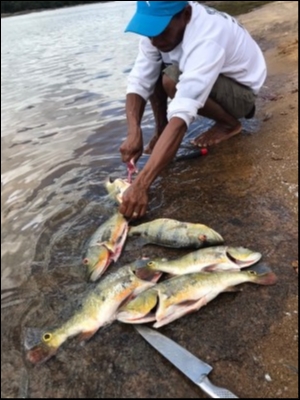 hideup 乃村弘栄 ブログ写真 2019/02/08