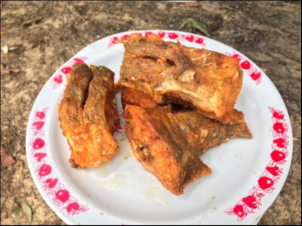 hideup 乃村弘栄 ブログ写真 2019/02/08