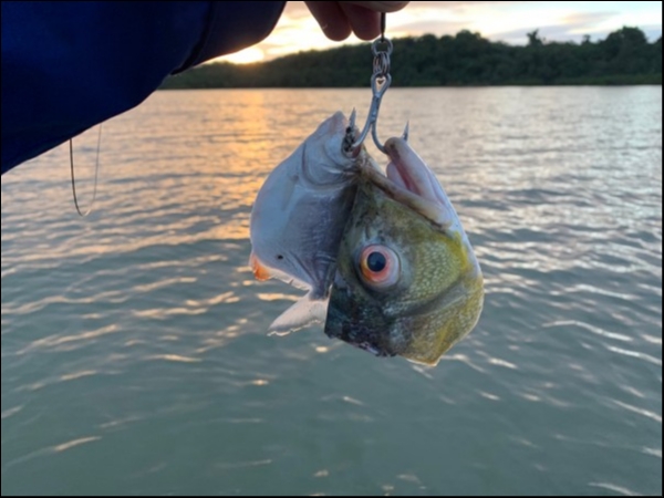 hideup 乃村弘栄 ブログ写真 2019/02/08