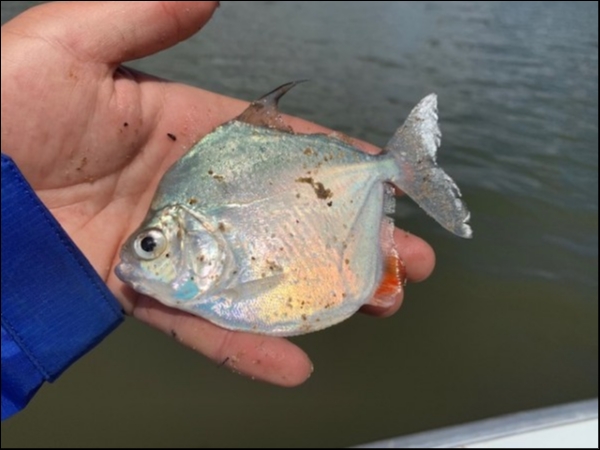 hideup 乃村弘栄 ブログ写真 2019/02/08