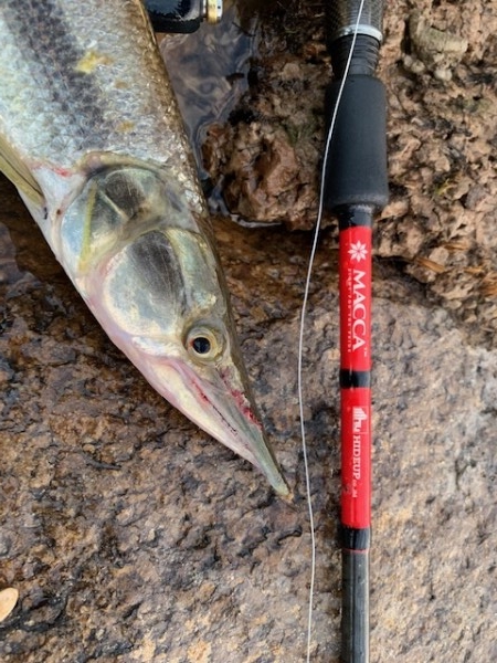 hideup 乃村弘栄 ブログ写真 2019/02/09