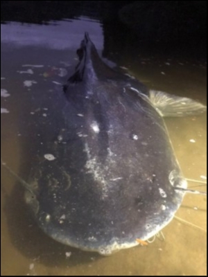 hideup 乃村弘栄 ブログ写真 2019/02/09