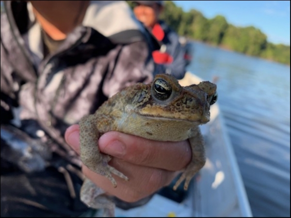 hideup 乃村弘栄 ブログ写真 2019/02/10