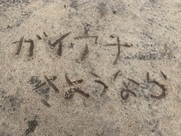 hideup 乃村弘栄 ブログ写真 2019/02/10