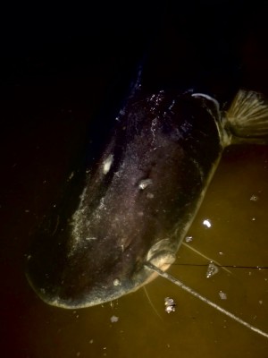 hideup 乃村弘栄 ブログ写真 2019/02/10