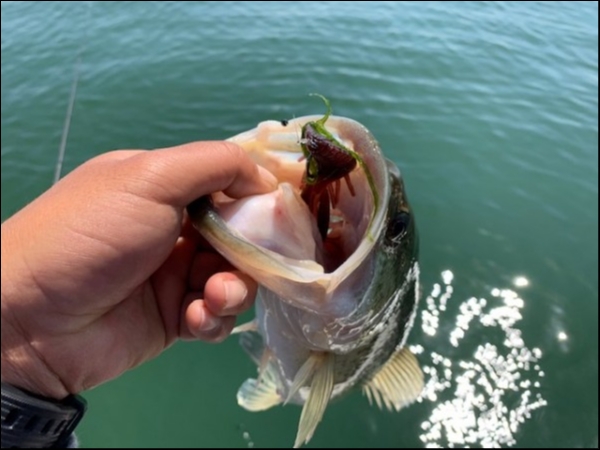 hideup 乃村弘栄 ブログ写真 2019/05/05