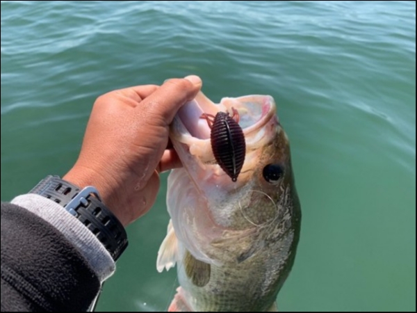 hideup 乃村弘栄 ブログ写真 2019/05/05