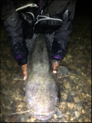 hideup 乃村弘栄 ブログ写真 2019/05/06