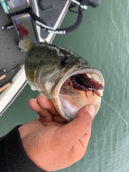 hideup 乃村弘栄 ブログ写真 2019/05/12