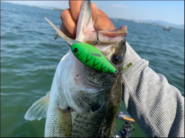 hideup 乃村弘栄 ブログ写真 2019/05/12