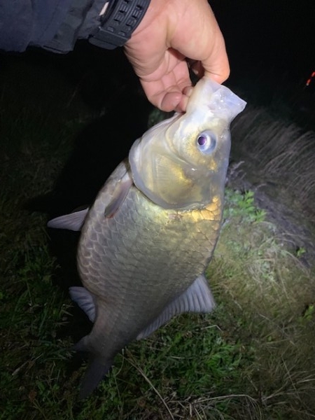 hideup 乃村弘栄 ブログ写真 2019/05/13