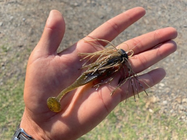 hideup 乃村弘栄 ブログ写真 2019/06/03