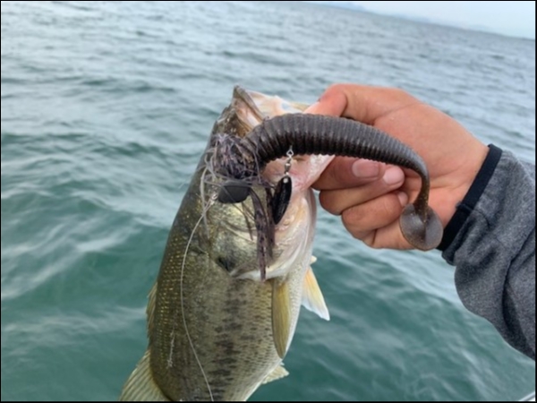 hideup 乃村弘栄 ブログ写真 2019/06/05