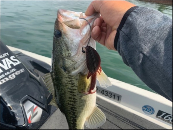 hideup 乃村弘栄 ブログ写真 2019/06/05