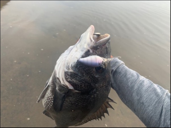 hideup 乃村弘栄 ブログ写真 2019/07/05