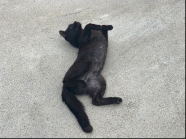 hideup 乃村弘栄 ブログ写真 2019/07/05