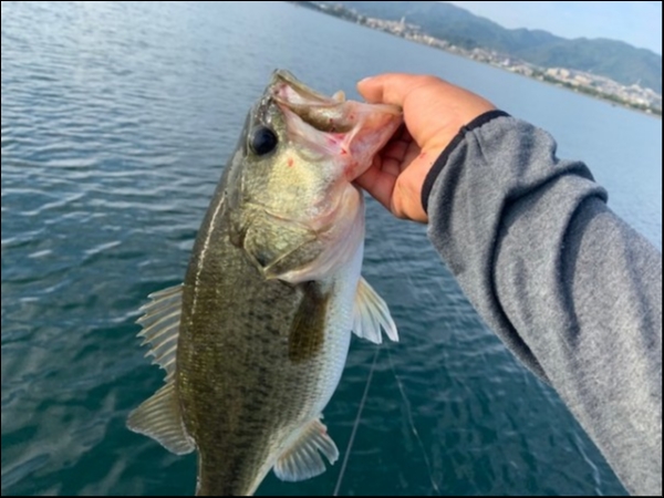 hideup 乃村弘栄 ブログ写真 2019/10/01