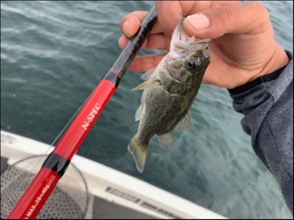 hideup 乃村弘栄 ブログ写真 2019/10/01