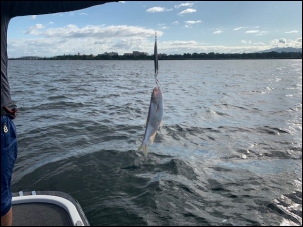 hideup 乃村弘栄 ブログ写真 2019/10/05