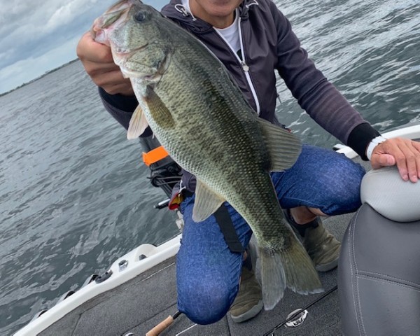 hideup 乃村弘栄 ブログ写真 2019/10/05