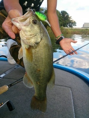 hideup 重行知明 ブログ写真 2013/10/22