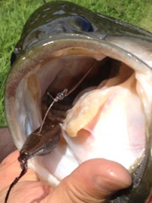 hideup 重行知明 ブログ写真 2012/12/25