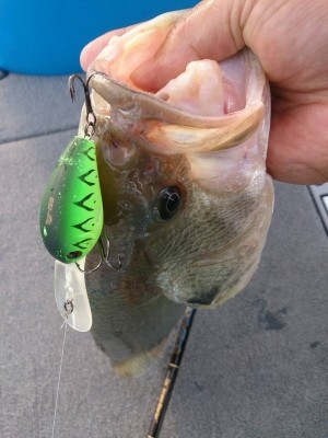 hideup 重行知明 ブログ写真 2013/10/22