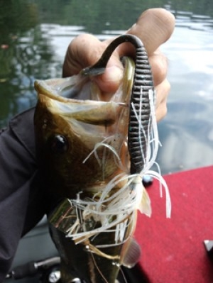 hideup 重行知明 ブログ写真 2012/12/25