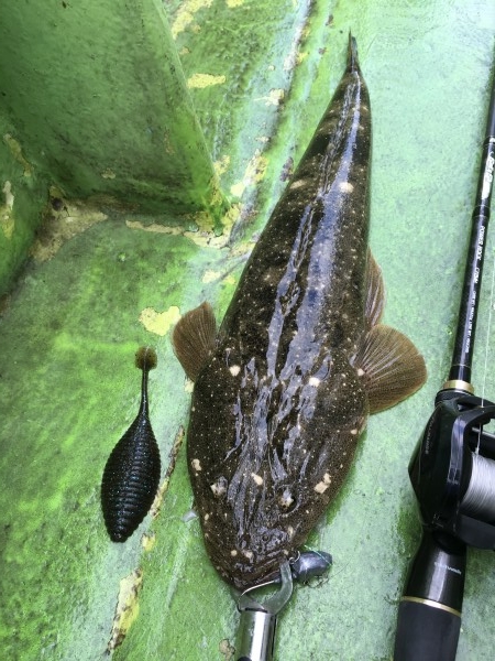 hideup 須江一樹 ブログ写真 2017/11/23