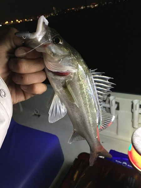 hideup 須江一樹 ブログ写真 2017/11/09