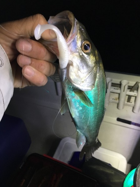 hideup 須江一樹 ブログ写真 2017/11/09