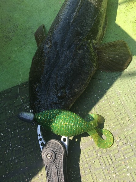 hideup 須江一樹 ブログ写真 2017/10/14