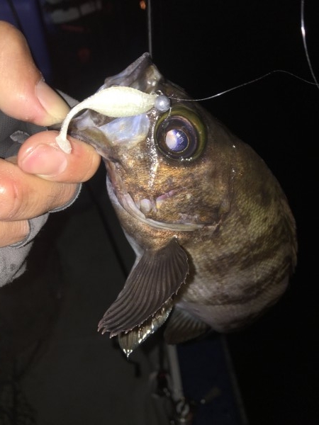 hideup 須江一樹 ブログ写真 2019/01/08