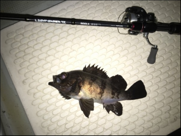 hideup 須江一樹 ブログ写真 2019/01/12