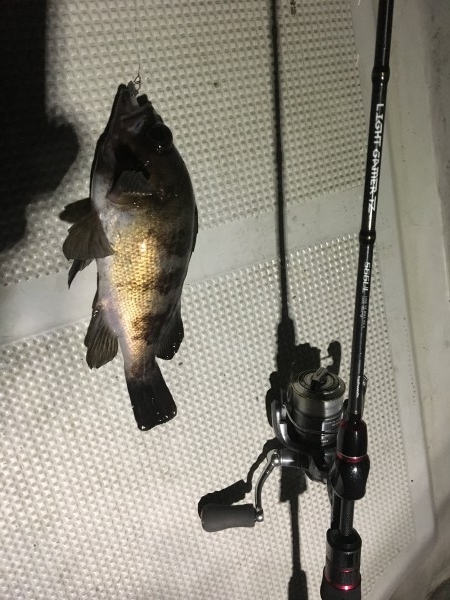 hideup 須江一樹 ブログ写真 2019/01/12