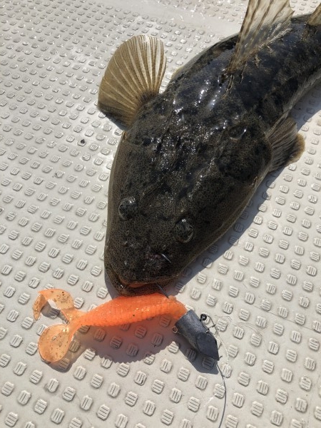 hideup 須江一樹 ブログ写真 2019/04/02