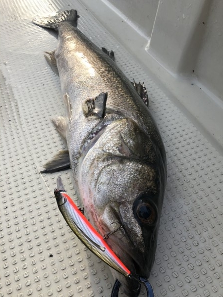 hideup 須江一樹 ブログ写真 2019/04/10