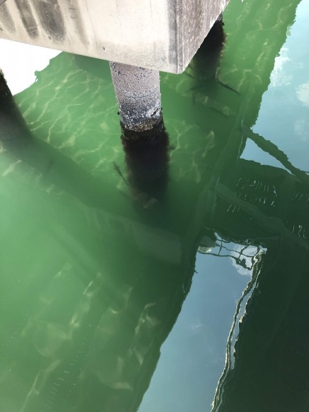 hideup 須江一樹 ブログ写真 2019/04/10