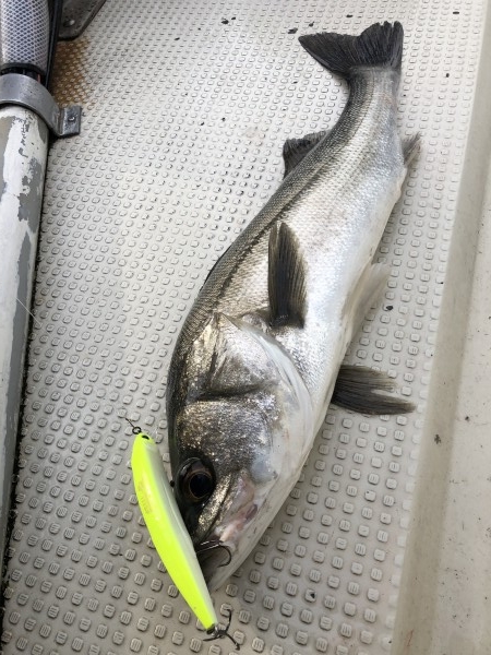 hideup 須江一樹 ブログ写真 2019/04/10