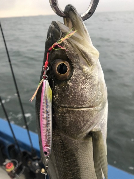 hideup 須江一樹 ブログ写真 2019/04/11