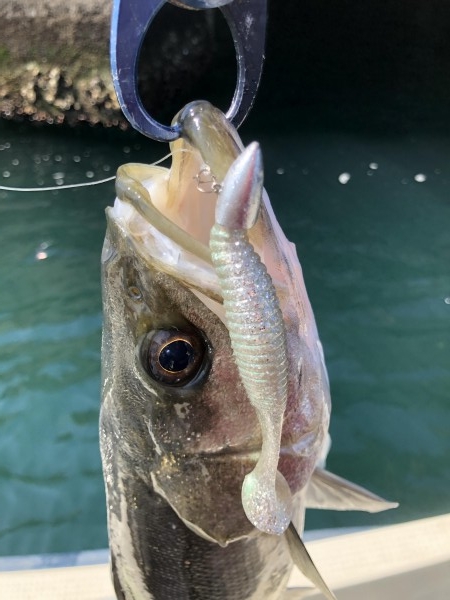 hideup 須江一樹 ブログ写真 2019/04/12