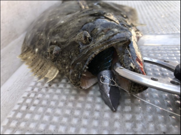 hideup 須江一樹 ブログ写真 2019/04/15