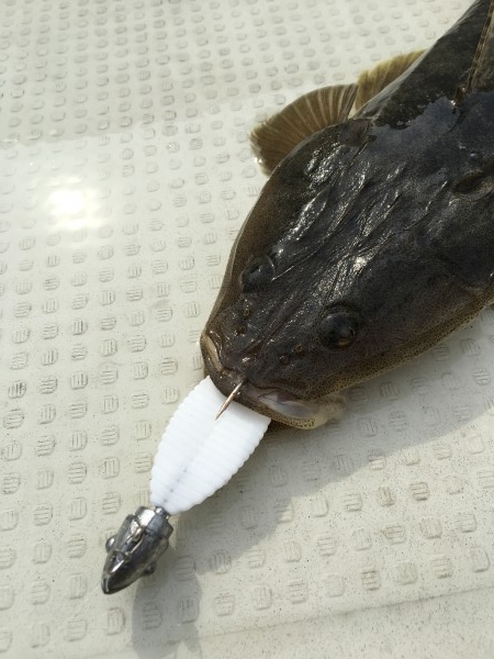 hideup 須江一樹 ブログ写真 2019/05/01