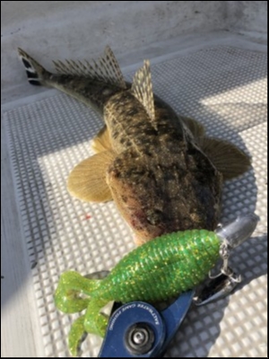 hideup 須江一樹 ブログ写真 2019/05/03