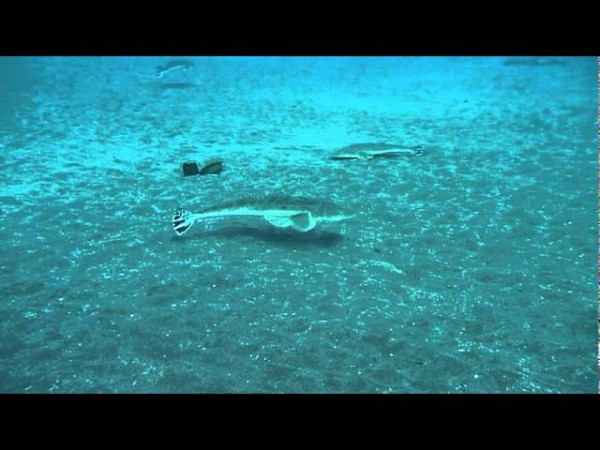 hideup 須江一樹 ブログ写真 2019/05/05