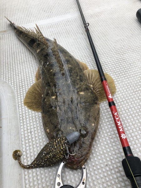 hideup 須江一樹 ブログ写真 2019/05/09